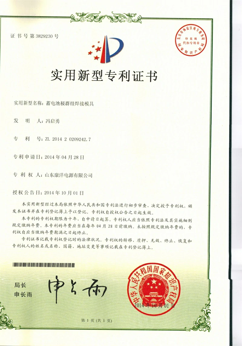 Patent certificate 15